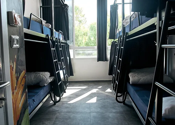 Jungle Jaffa Hostel Age 18 To 45
